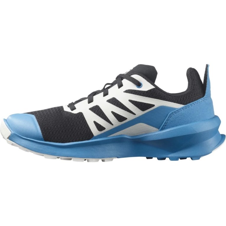 Blue / Black Salomon Patrol Kids' Hiking Shoes | IE JL1364